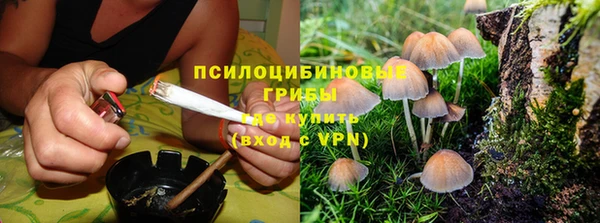 герыч Майский